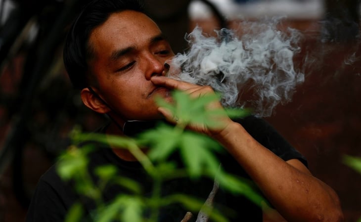 Suprema Corte anula prohibición del uso lúdico de la marihuana en México