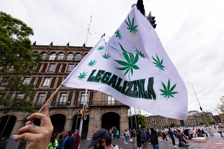 SCJN elimina la prohibición absoluta de la cannabis