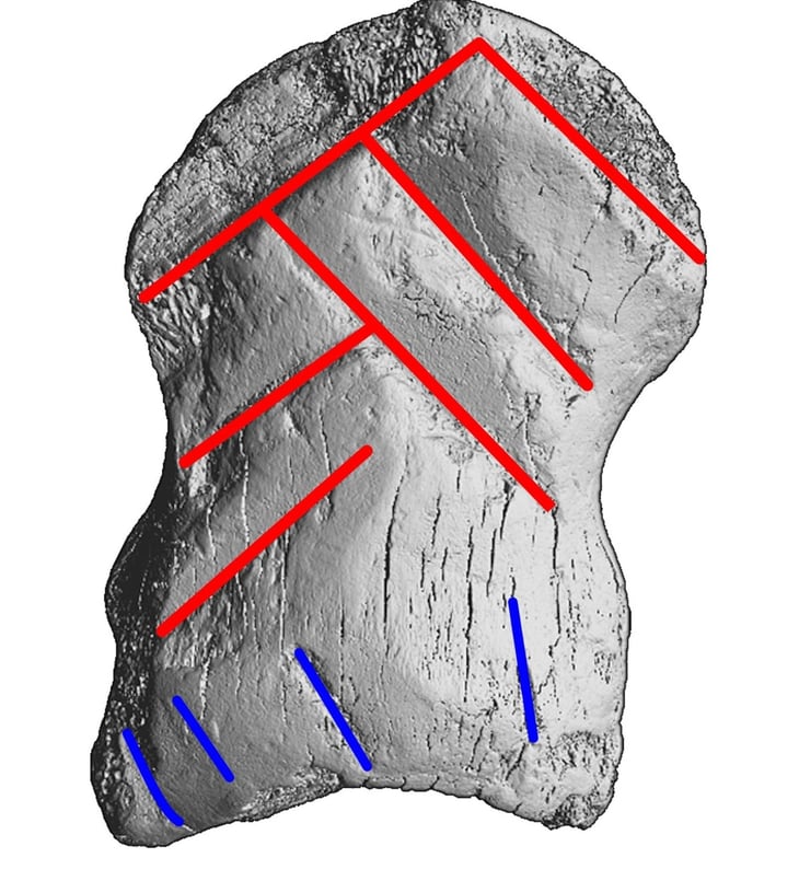 Un hueso de 51,000 años revela la capacidad simbólica de los neandertales