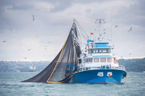 15 casos de COVID-19 en un barco de bandera española atracado en N.Zelanda