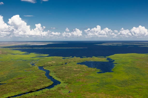 Plan reducirá el vertido de aguas del lago Okeechobee a estuarios en Florida