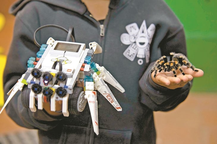 Pequeños 'convierten' bichos en robots