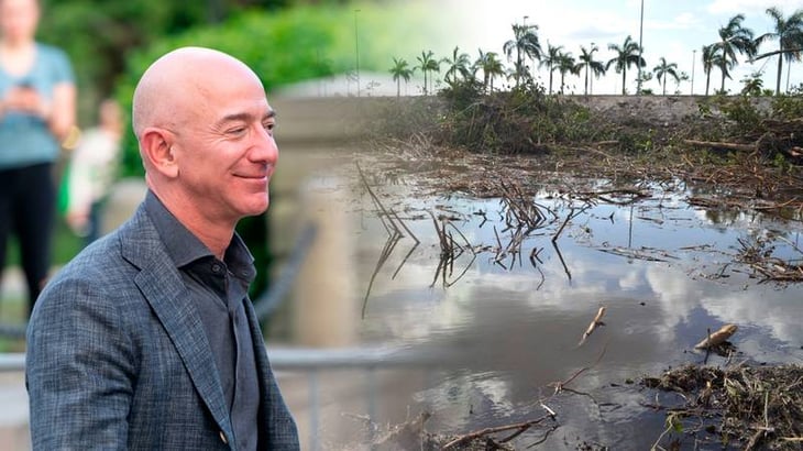 Jeff Bezos apoyará la restauración de manglares de México