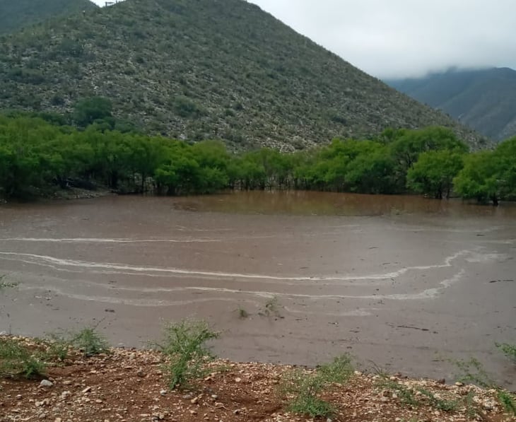 Las lluvias acaban con la sequía del campo en Castaños 