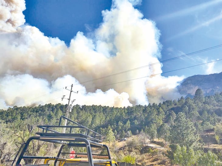 La Federación debe aportar más recursos para contrarrestar los incendios forestales