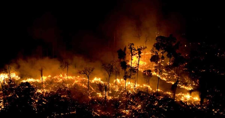 Arde el 60 % del parque forestal en Sao Paulo 