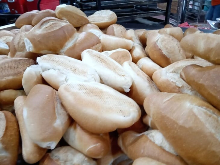 El pan y tortillas podrían aumentar ante el alza del precio de la harina