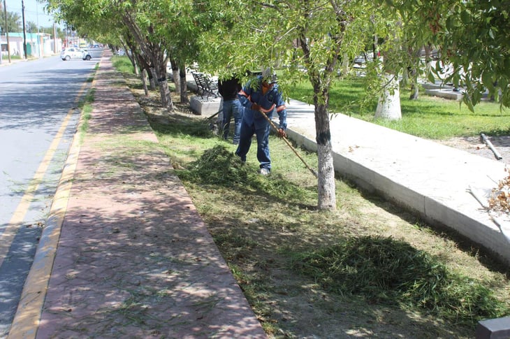 Las autoridades de ‘San Buena’ embellecen la Alameda Juárez 