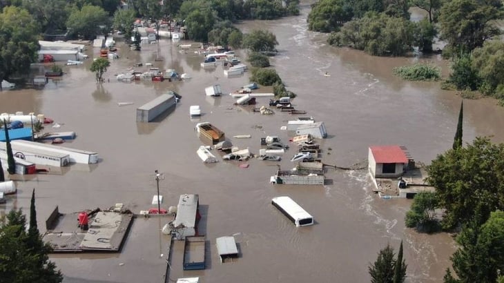Inundación en Tula también afectó a los animales