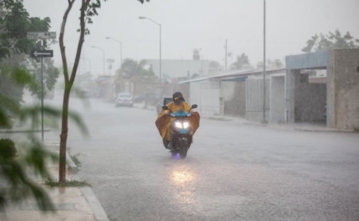 Lluvias han beneficiando la agricultura de temporal en Yucatán