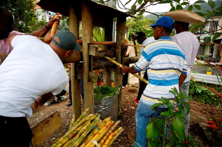 El viche; Un licor para dignificar el saber ancestral de los afrocolombianos