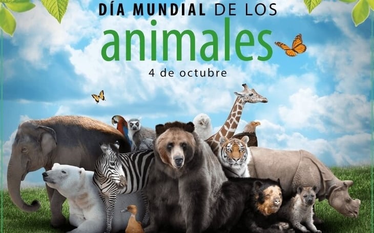 Día Mundial de los Animales ¿por qué se celebra el 4 de octubre?