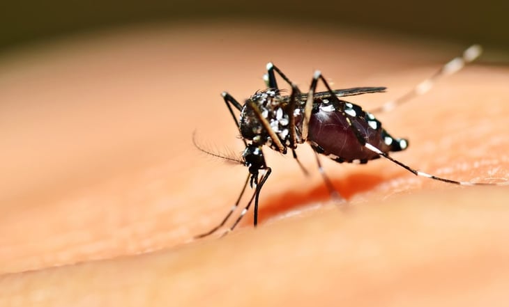 Acuña, en alerta por dengue