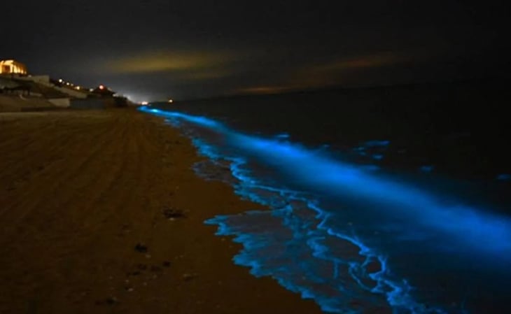 Lagunas de Oaxaca para apreciar el fenómeno de la bioluminiscencia
