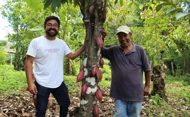 Anuncian Escuelita del Cacao para impulsar a productores en Oaxaca