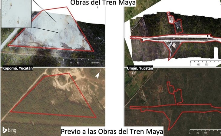 Deforestan más de 144 hectáreas por Tren Maya