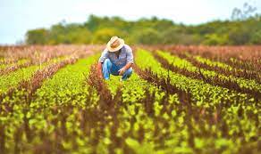 Reafirman México y EU importancia de relación comercial agrícola
