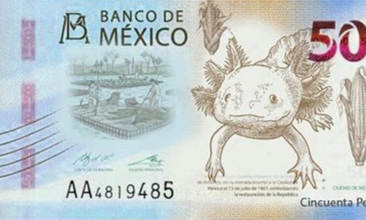 Banxico jubila a Morelos del billete de 50 pesos; alista nueva pieza