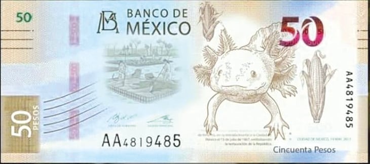 El billete de 50 pesos cambia de imagen 