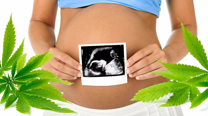 Consumir cannabis durante el embarazo afecta al feto y al desarrollo del niño