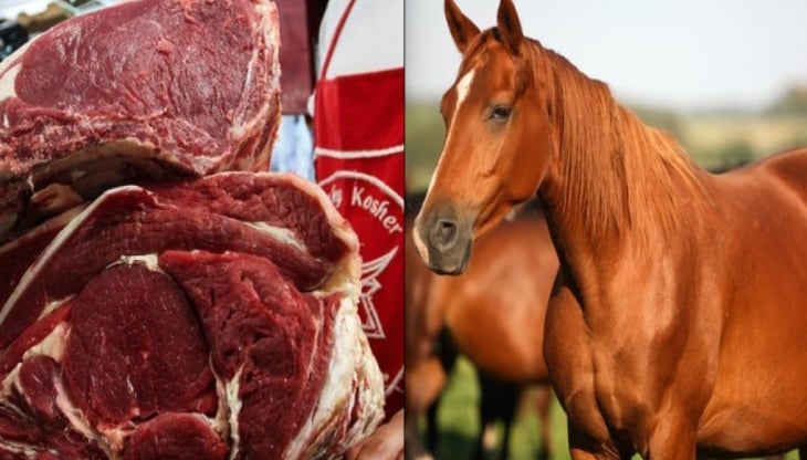 Grupo criminal de Brasil fue detenido por vender carne de caballo clandestinamente a restaurantes 
