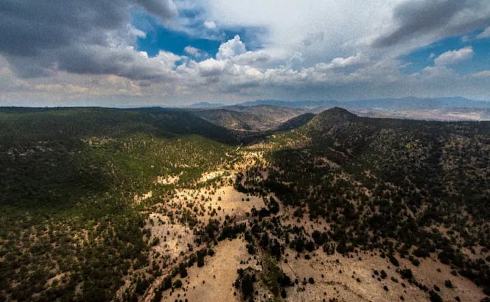Declaran Área Natural Protegida a la Sierra de San Miguelito