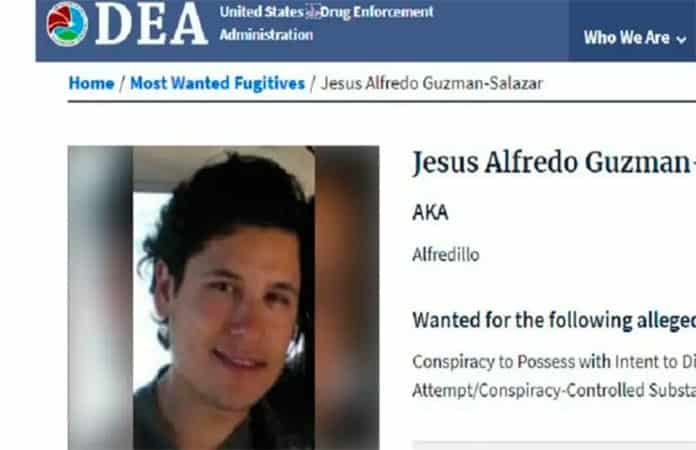 Desde 2018 la DEA busca a Jesús Alfredo Guzmán, alias 'Alfredillo'