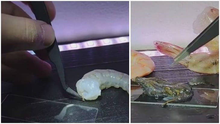 VIDEO: Usuario de TikTok comparte que es lo que hay dentro de la ‘vena’ negra del camarón 