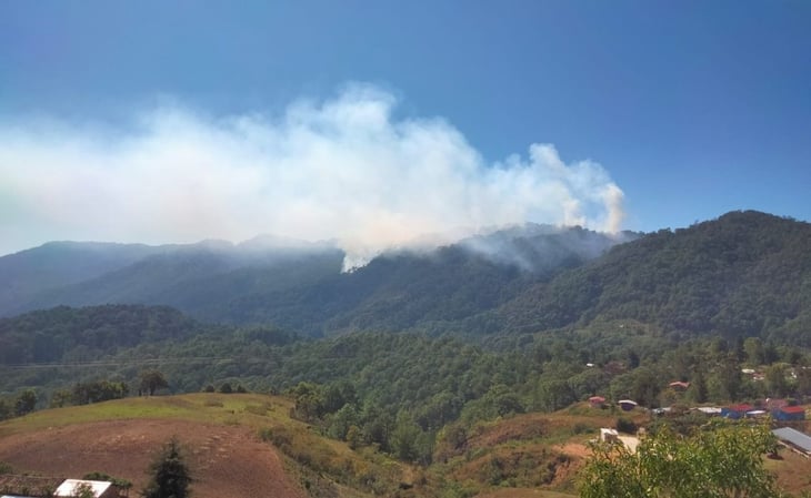 Incendio forestal avanza en Yosoyuxi, en la Mixteca de Oaxaca