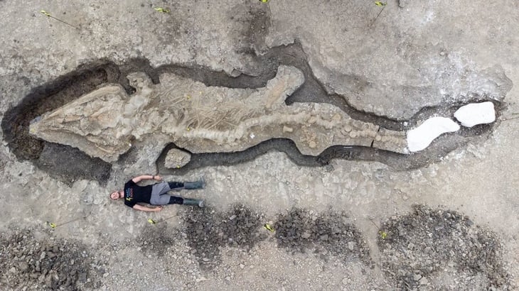 Por casualidad hallan fósil de 'dragón marino', el más grande hasta ahora visto