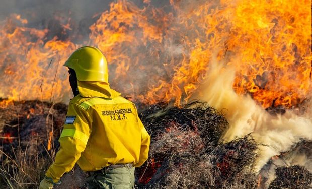 Argentina declara situación de 'emergencia' por los incendios forestales