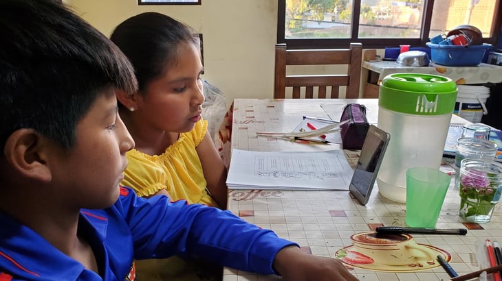 Bolivia iniciará el año escolar con clases a distancia en las áreas urbanas