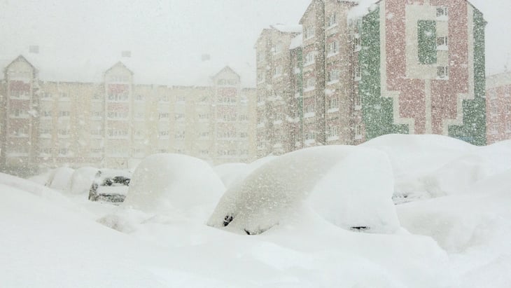 Niña sobrevive una noche a fuerte tormenta de nieve abrazada a un perro en Rusia