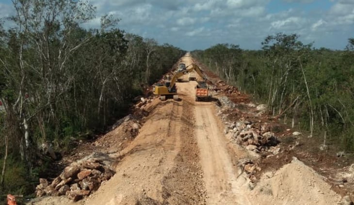 La senadora panista Xóchitl Gálvez denuncia ante FGR tala de 20 mil árboles por obras del Tren Maya