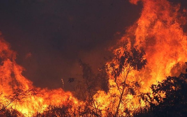 Honduras reporta 37 incendios que afectaron 490.6 hectáreas en enero