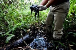 Corte de Ecuador prohíbe obras petroleras en zona amortiguamiento del Yasuní