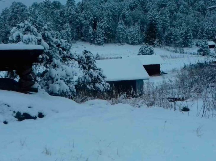 Nieve 'pinta de blanco' 11 municipios de Durango