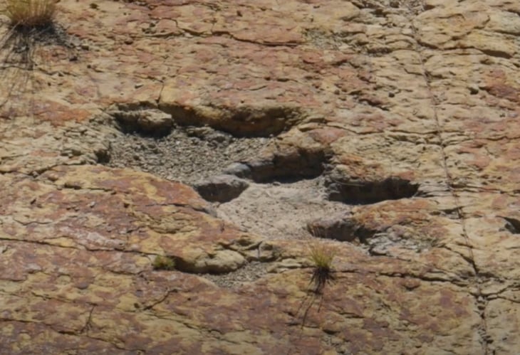 Investigadores en Coahuila descubren pisadas de aves y dinosaurios 