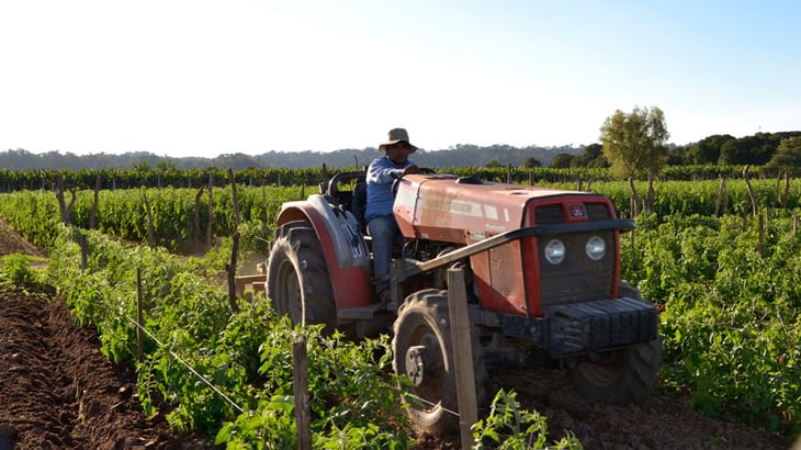 Costa Rica e Israel acuerdan cooperación en el sector agrícola