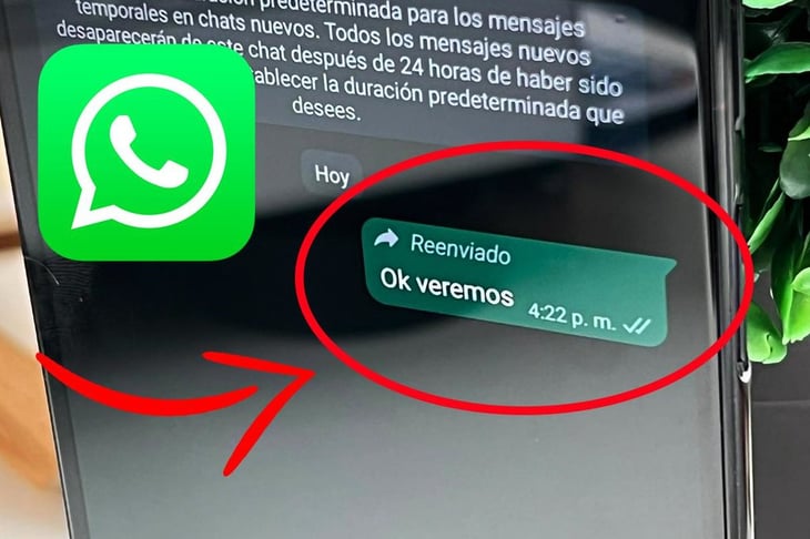 WhatsApp: ¿Cómo eliminar la palabra ‘reenviado’ de tus mensajes?