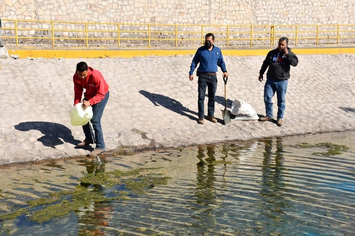 Elementos municipales dan limpieza al Río Monclova 