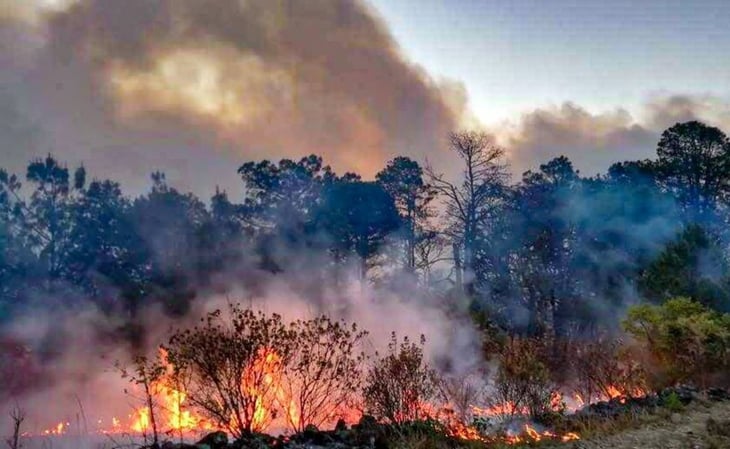 Apagan incendio forestal en Santa María Peñoles, Oaxaca