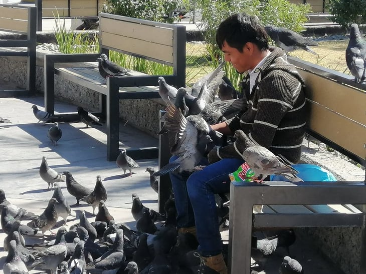Sureño alimenta con arroz a las palomas posadas en sus manos en la Plaza Principal de Monclova 
