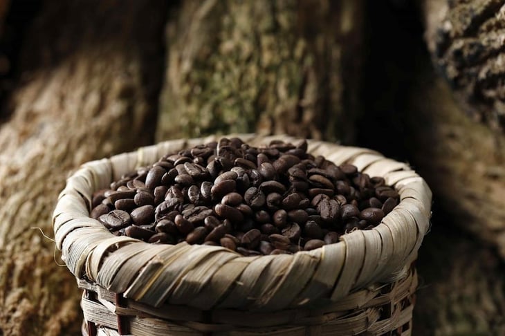 Naciones Unidas apoyará a Cuba para aumentar la producción de café y cacao