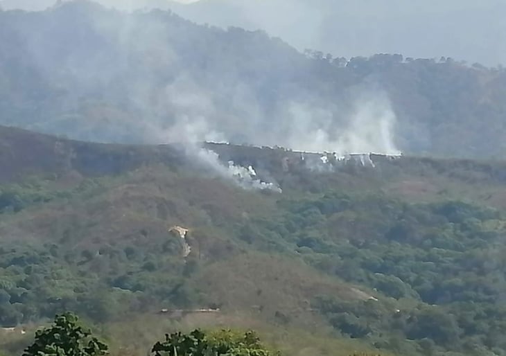 Incendio en bosques de Oaxaca cumple más de 24 horas