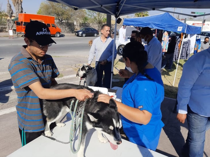 'Brigada Azúl' para los canes que son parte de la familia en Monclova 