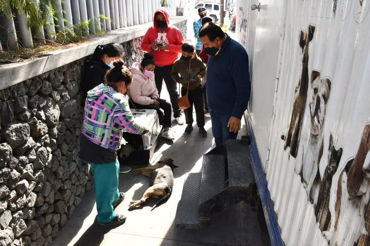 Sigue creciendo la cultura del respeto y el cuidado hacia las mascotas en Monclova