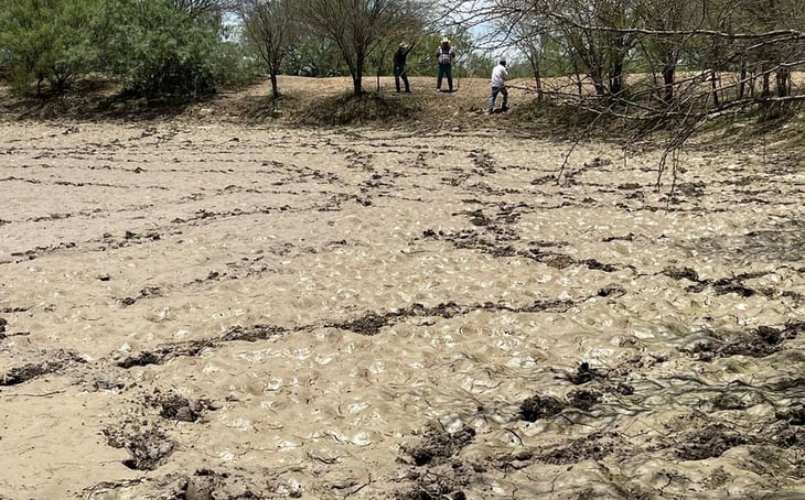 Regiones Centro, Norte y Laguna, las más afectadas por la sequía en Coahuila