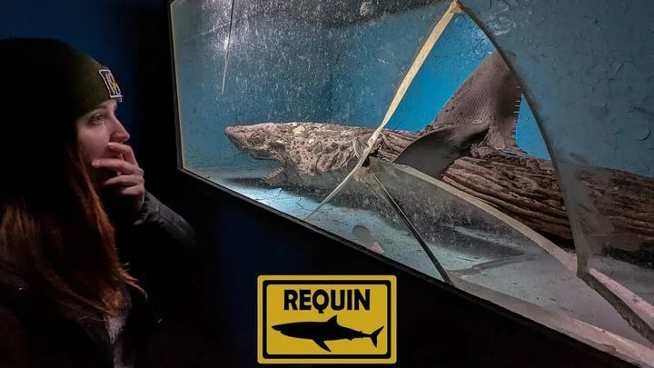 VIDEO: Entraron en un acuario abandonado y encontraron un museo del terror