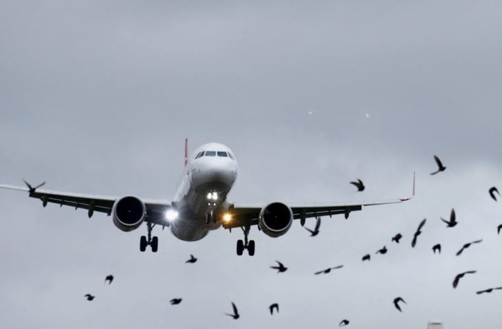 Airbus señala que en AL necesitan 2460 aviones nuevos